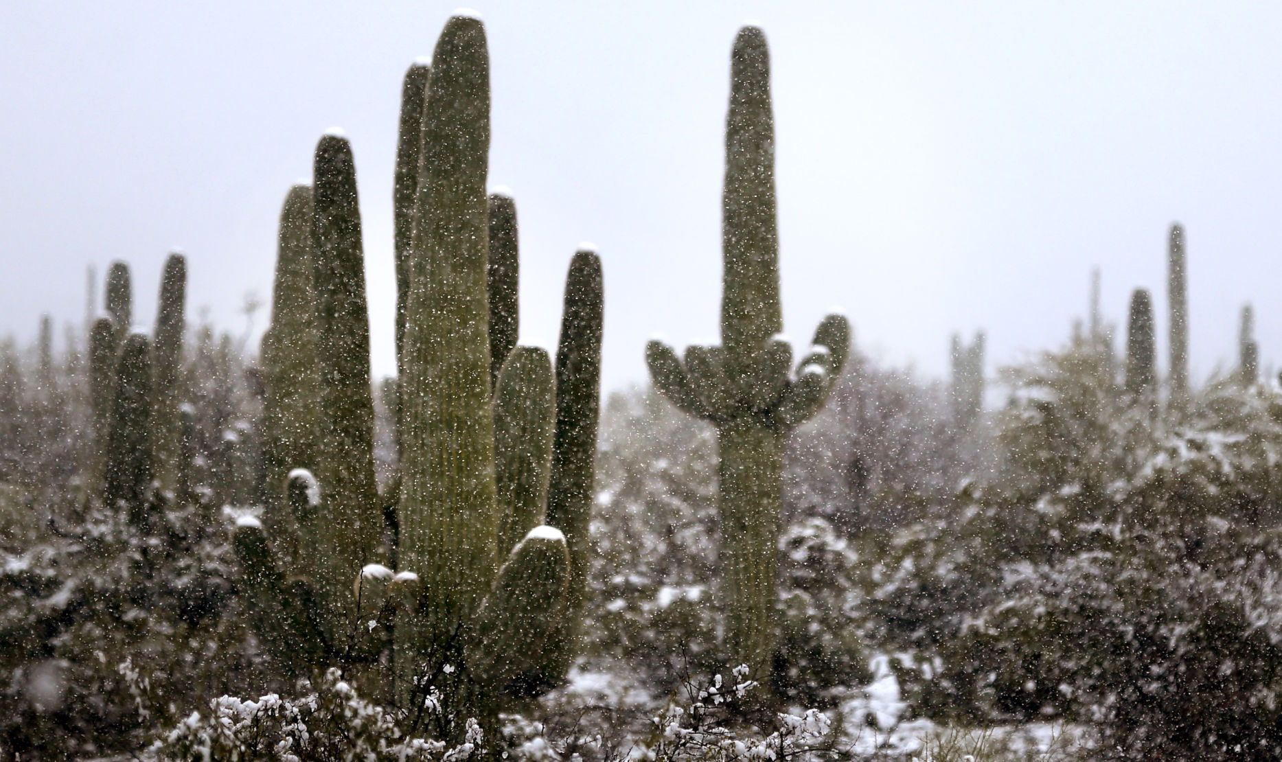 Snow Across Tucson